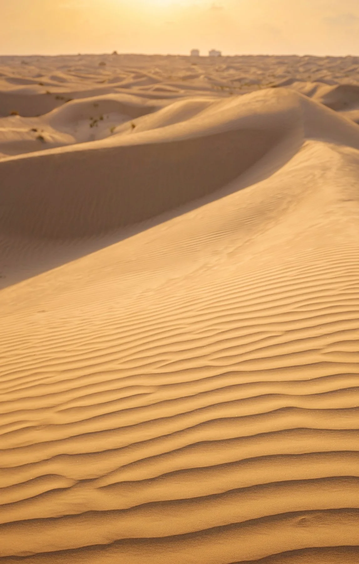 Sweeping golden dunes with wind ripples under a soft sky