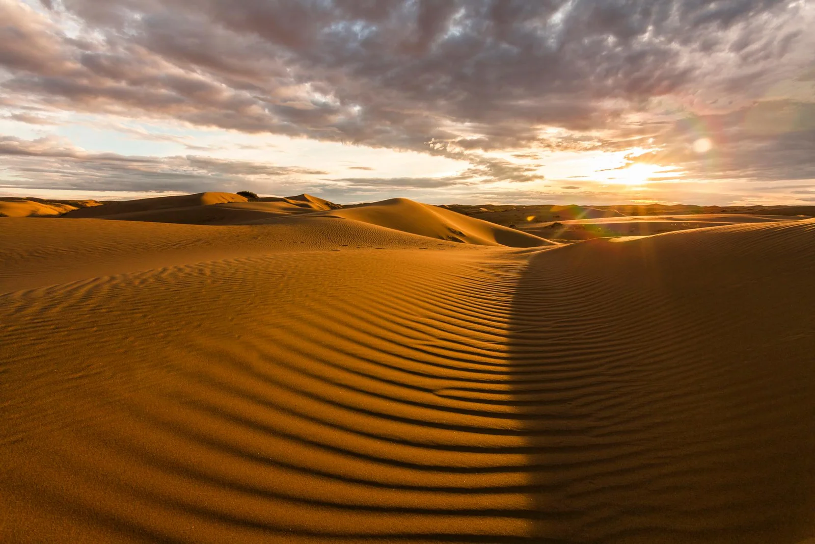 Golden sand dunes at sunset